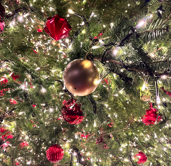 Illuminnation_EbisuGardenPlace